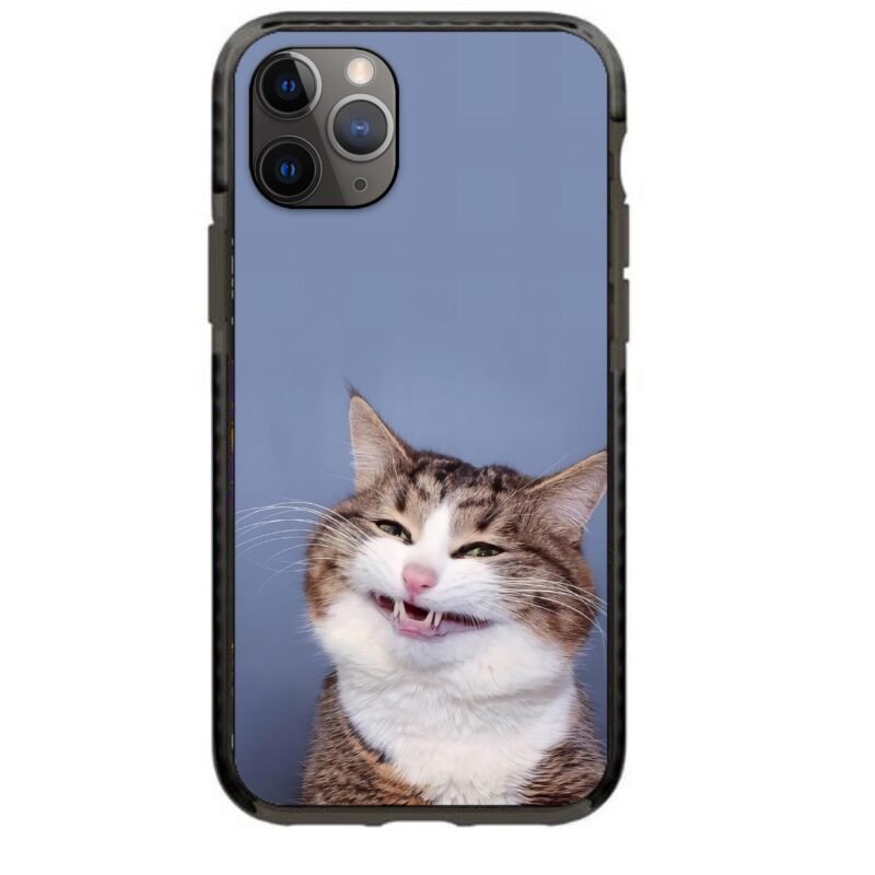 Strange cat θήκη κινητού 91927 γιά iPhone 11 Pro