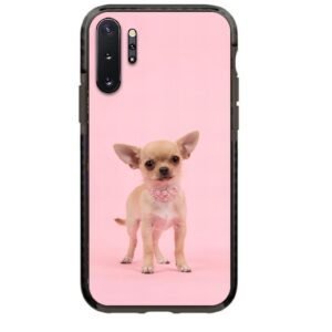 Chihuahua θήκη κινητού 91952 γιά  Galaxy Note 10 Plus