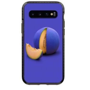 Melon θήκη κινητού 91861 γιά  Galaxy S10